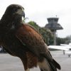 aeropuerto